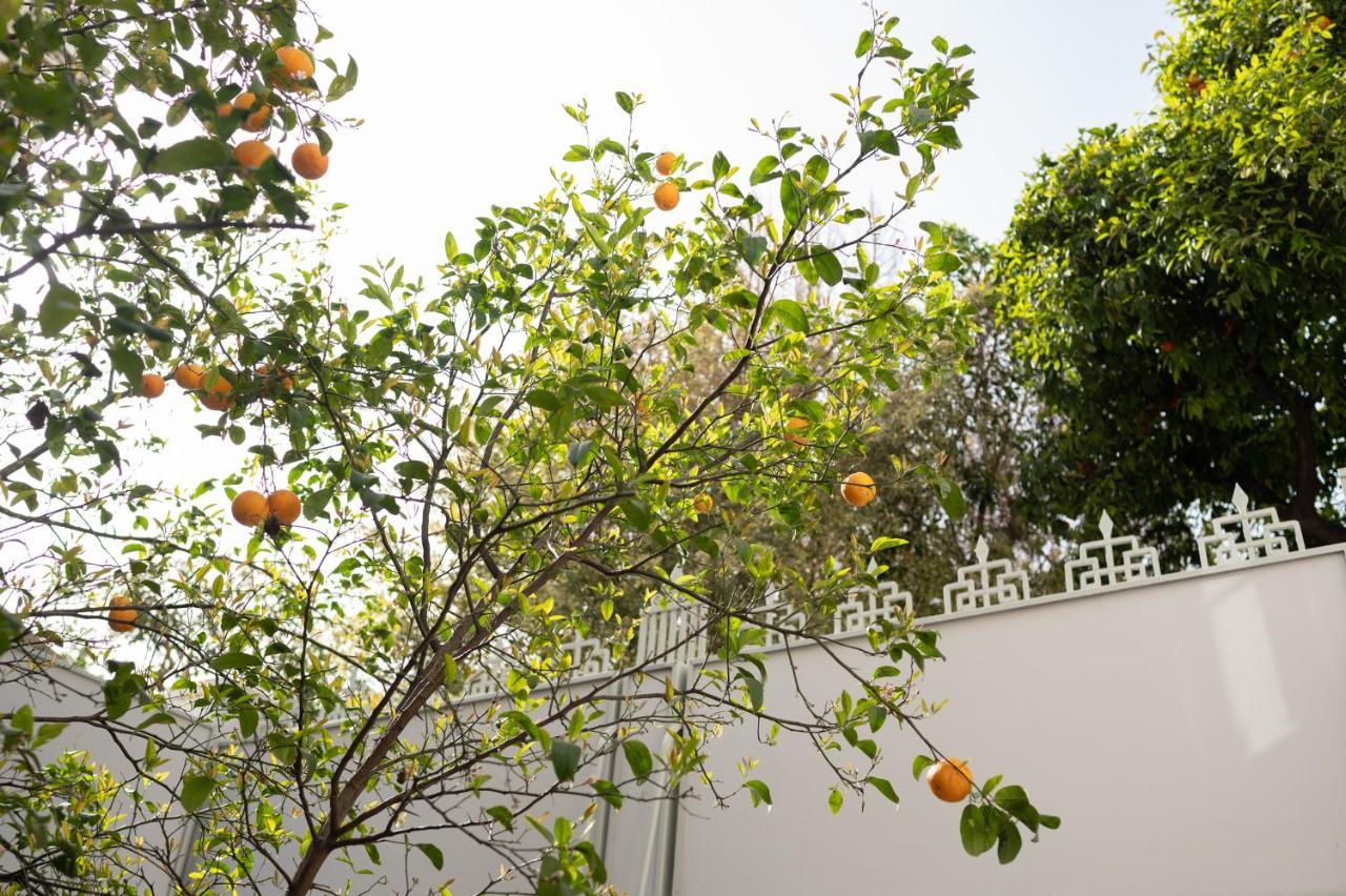 Casa Blue Dove Lejlighed Chania  Eksteriør billede